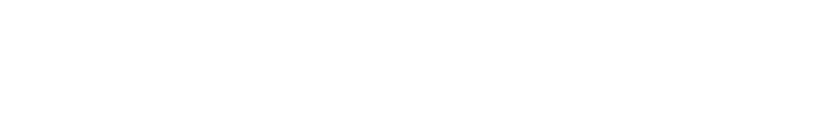 Logo SNEBA